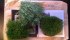 ������: resigrass, ������� �������� ����� 3 ��.