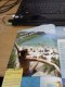 ������: vacansoleil, ����� � ��������.������ ��� ������!