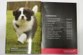 ������: eukanuba, ���� ��� ����� � ����� �� �����. �����������������