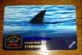 ������: paulshark, ������� ����� �� ������ Paul & Shark �� ������, ��
