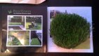 ������: resigrass, ������� �������� ����� 3 ��.