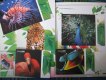 ������: Overnightprints, ��������� ������� �������, ��������, ���������.