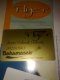 ������: Flyer, �������� ������������ BahamasAir