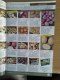 Халява: organiccatalogue, Каталог для садоводов