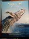 ������: Cruisewest, ������� ��� ������ �� ������ ����������� + DVD