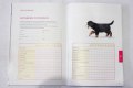 ������: eukanuba, ���� ��� ����� � ����� �� �����. �����������������