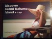 ������: Bahamasdiving, ������������ � DVD �� ��������� ���������� �������