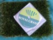 ������: royalgrass-erbaartificiale, ������� ������������� �����