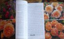 ������: davidaustinroses, �������� ������� ��� ������������ ��������� (��� �